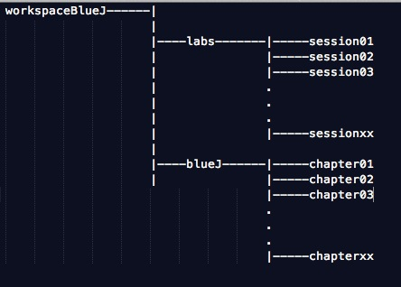 Figure 1: Recommended directory structure